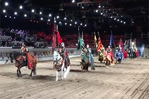 Medieval Times шоу в Торонто