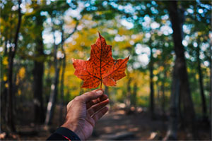 Coldwater Canadiana Heritage Музей