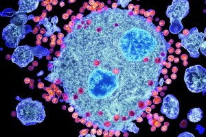 Изменен порядок сдачи крови для геев и бисексуалов
