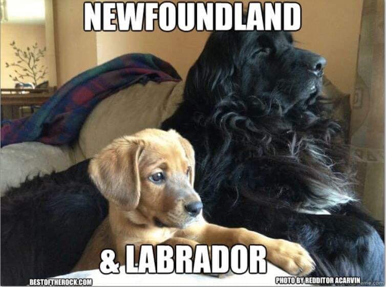 Newfoundland and Labrador