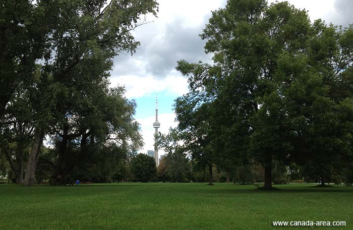 Toronto Island