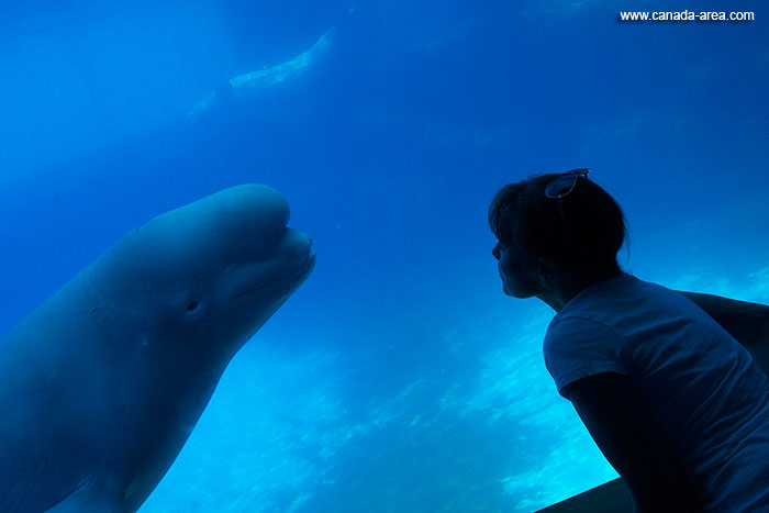 Marineland